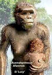 Afarensis